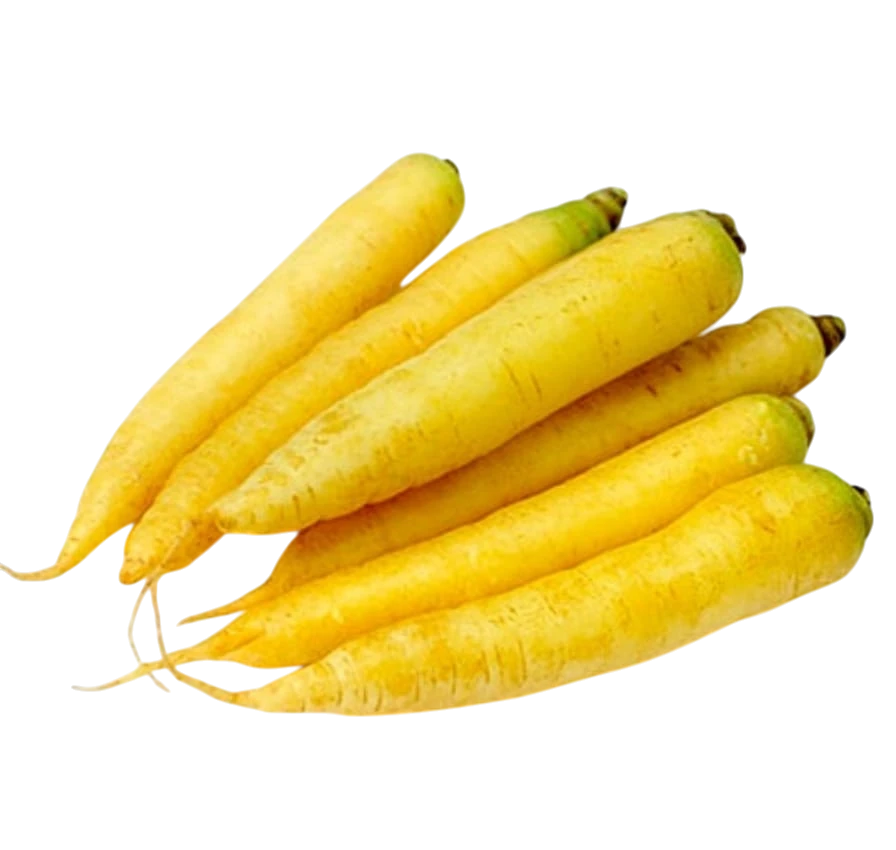 Asia Trade fresh yellow carrots arranged in a pile on a white background