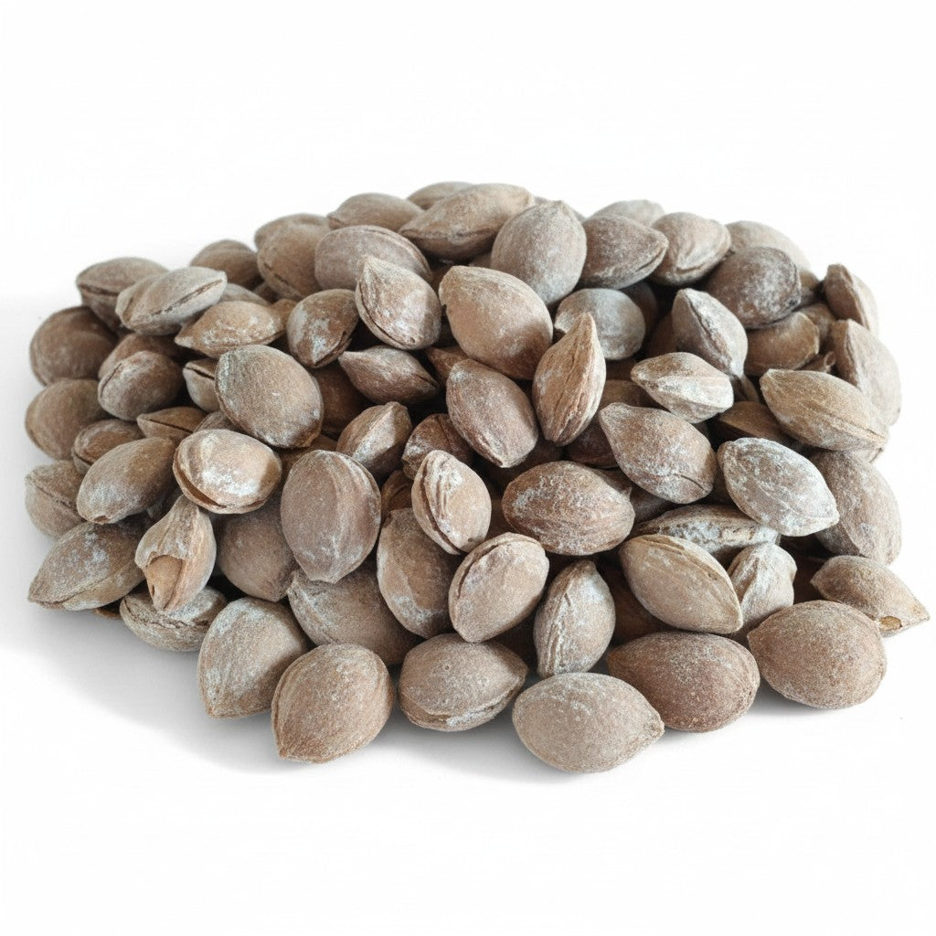 Asia Trade roasted apricot kernels from Uzbekistan, salted and charcoal-roasted, 500g pack.