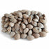 Asia Trade roasted apricot kernels from Uzbekistan, salted and charcoal-roasted, 500g pack.