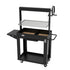 Asia Trade Santa Klara professional charcoal grill with adjustable stainless steel U-grate, firebricks, and side shelf.