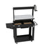Asia Trade Santa Klara professional charcoal grill with adjustable U-shaped stainless steel grate and firebricks.
