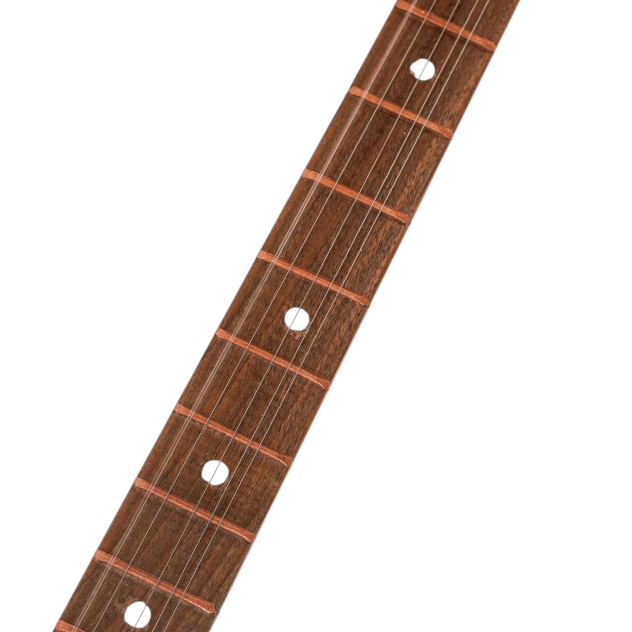 Asia Trade Uzbek rubab string instrument fretboard with dark wood and white circular position markers