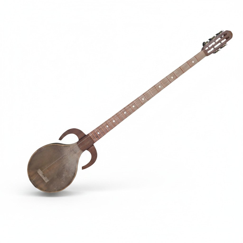 Asia Trade traditional Uzbek rubab string instrument with a wooden body and long neck on a white background