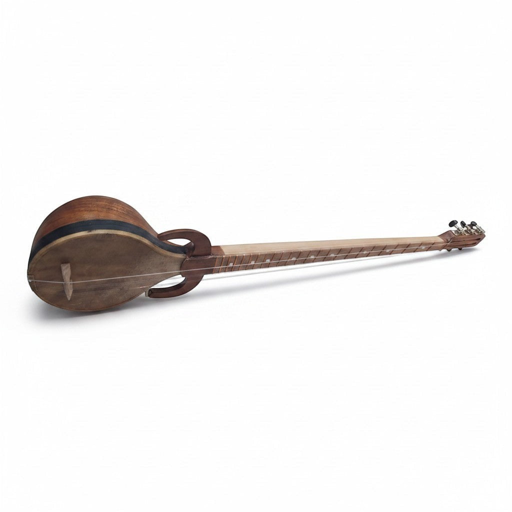 Asia Trade traditional Uzbek Rubab string instrument with a wooden body and long neck on a white background