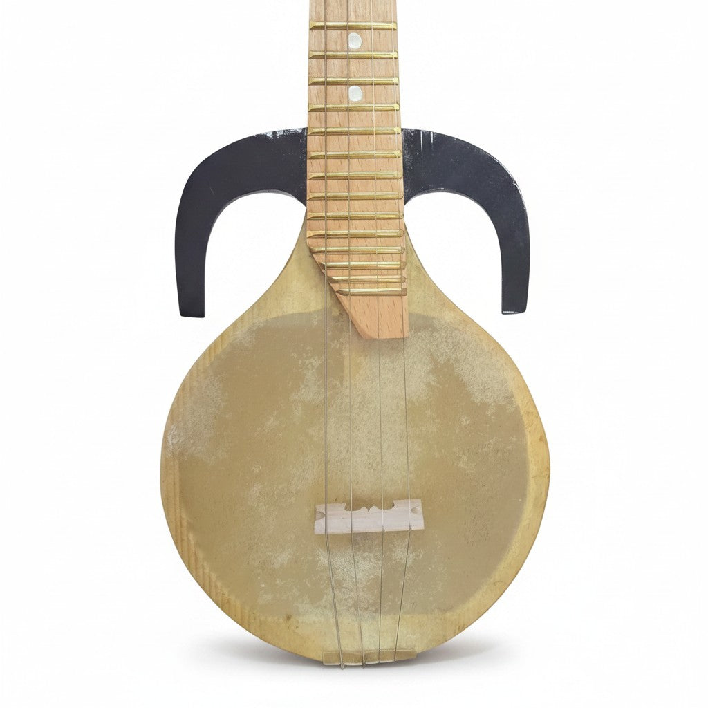 Asia Trade small Uzbek rubab string instrument with a round wooden body, skin soundboard, and black side horns