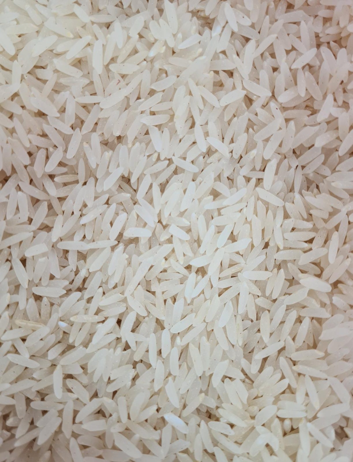 אורז Lazer 900גרם